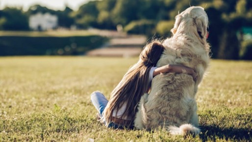 ¿Cómo decirle adiós a una mascota?